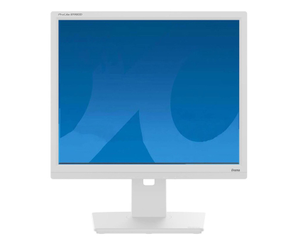 Monitor LED 21" i mniejszy iiyama B1980D-W5